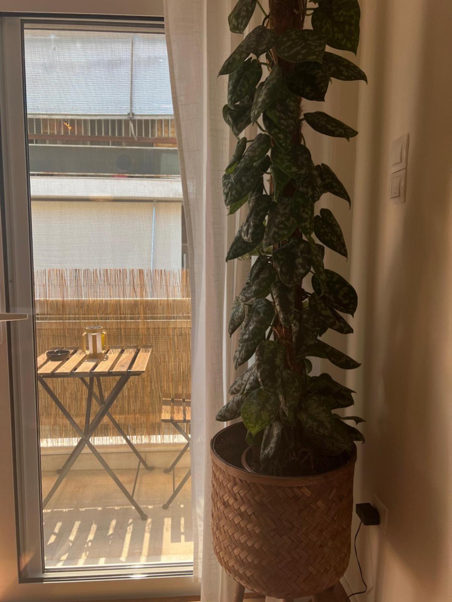 Bright Athens Studio 외부 사진