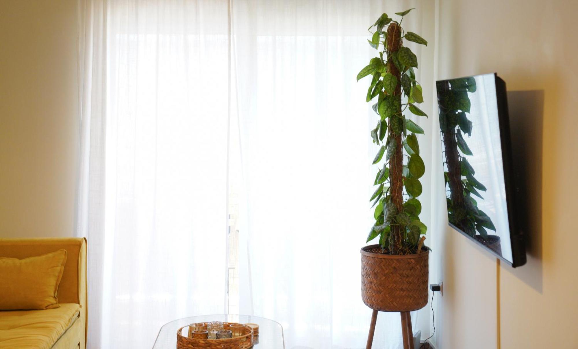 Bright Athens Studio 외부 사진